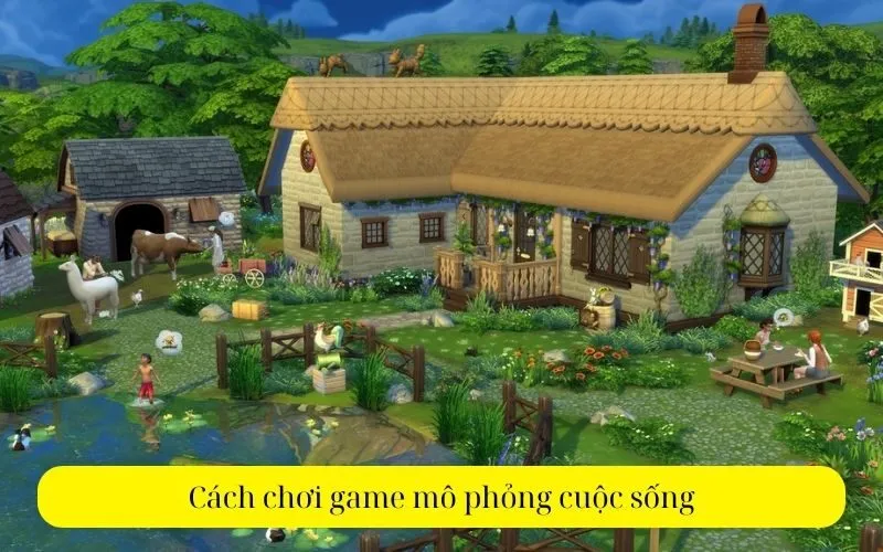 Cách chơi game mô phỏng cuộc sống