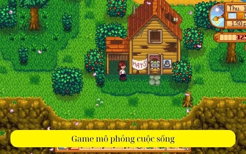 Game mô phỏng cuộc sống