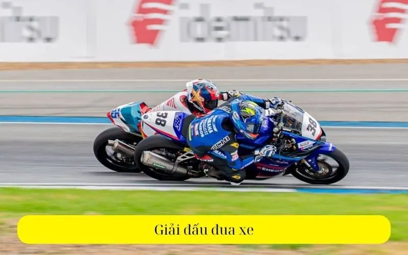 Giải đấu đua xe