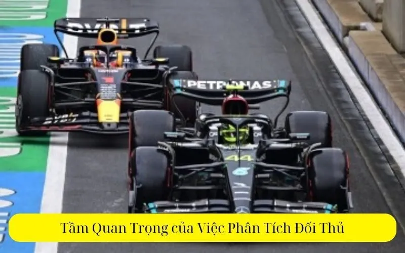 Tầm Quan Trọng của Việc Phân Tích Đối Thủ