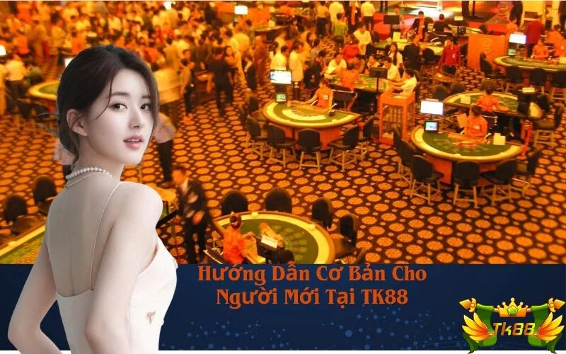 Hướng Dẫn Cơ Bản Cho Người Mới Tại TK88