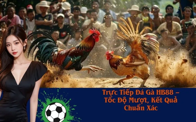 Trực Tiếp Đá Gà HB88 – Tốc Độ Mượt, Kết Quả Chuẩn Xác