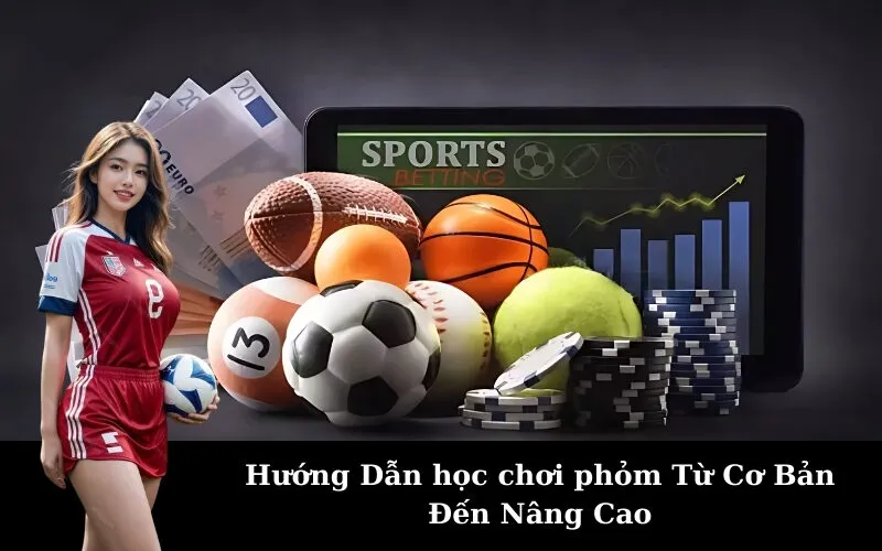 Hướng Dẫn học chơi phỏm Từ Cơ Bản Đến Nâng Cao