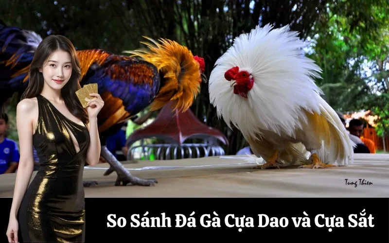 So Sánh Đá Gà Cựa Dao và Cựa Sắt